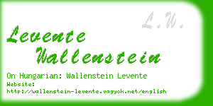levente wallenstein business card